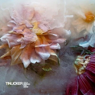 Afbeelding van Tinlicker Cold Enough For Snow (CD)