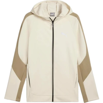 Afbeelding van Puma Evostripe WARM FULL ZIP Hoodie Sweater met rits, Heren, Maat: Medium, Alpine snow