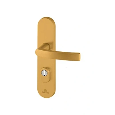 Afbeelding van Bricard 9900051 Essential gereedschapsset, afgeschermd, op plaat Ondersteuning + steun. Béquille+Béquille goud