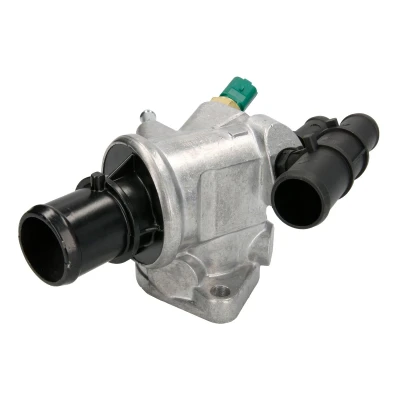 Afbeelding van Thermotec Thermostaat D2D001TT