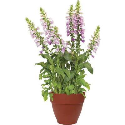 Afbeelding van Elho Vibia Campana Rond 40 Bloempot Brique Buiten Ø x H 33.4 cm