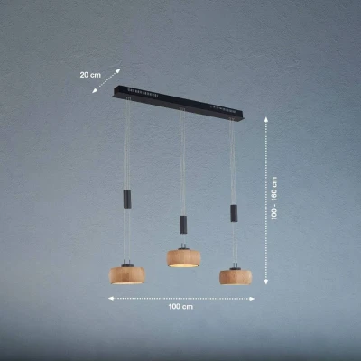 Afbeelding van Fischer &amp; Honsel 3 lichts hanglamp Shine Wood zwart 61093
