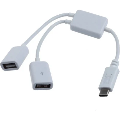 Afbeelding van USB C hub met 2 A poorten busgevoed USB2.0 / wit 0,15 meter