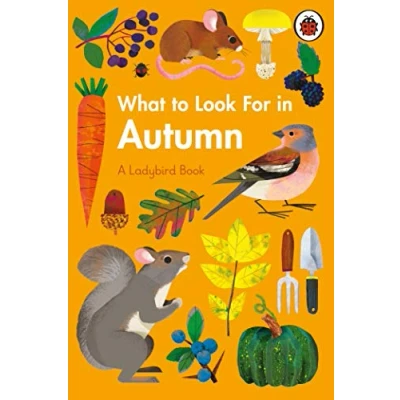 Afbeelding van What to Look For in Autumn