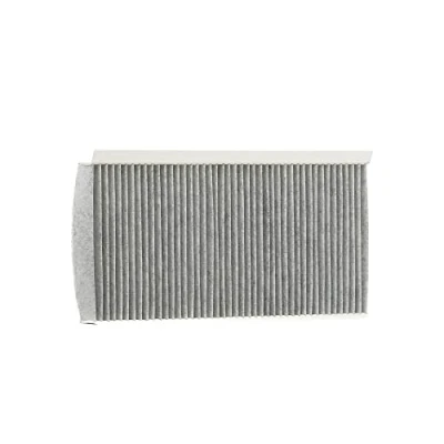 Afbeelding van Filter, binnenlucht DELPHI TSP0325296C