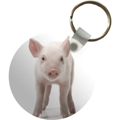Afbeelding van Sleutelhanger Varken Dieren Wit Plastic Rond Uitdeelcadeautjes