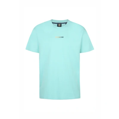 Afbeelding van Petrol Industries LOGO Palmsview Tshirt print, Heren, Maat: Small, Aqua