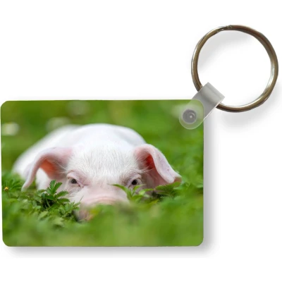 Afbeelding van Sleutelhanger Varken Dieren Big Uitdeelcadeautjes Plastic