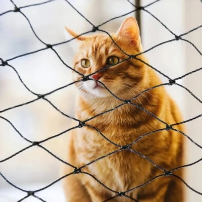 Afbeelding van Parain Kattennet voor balkon, raam, draadversterkt, kattenbeschermingsnet, robuust beschermingsnet, 6 x 3 m