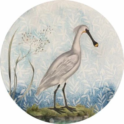 Afbeelding van Komar Fotobehang Spoonbill 125 x cm (breedte hoogte), rond en zelfklevend (1 stuk)
