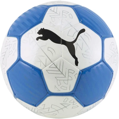 Afbeelding van Puma VoetbalKinderen en volwassenen