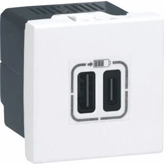 Afbeelding van Legrand mosaic usb lader type a c 2 mod wit 077592