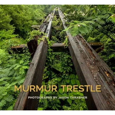 Afbeelding van Murmur Trestle