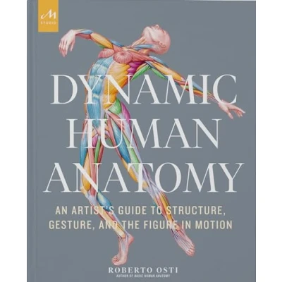 Afbeelding van Dynamic Human Anatomy: An Artist&#039;s Guide to Structure, Gesture, and the Figure in Motion