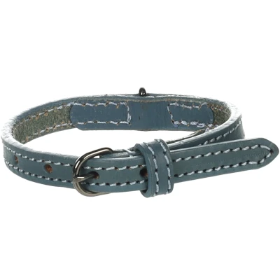 Afbeelding van Flamingo Denver Gewoon Halsband Honden Blauw Xs 20 25cm 10mm 1st 174491