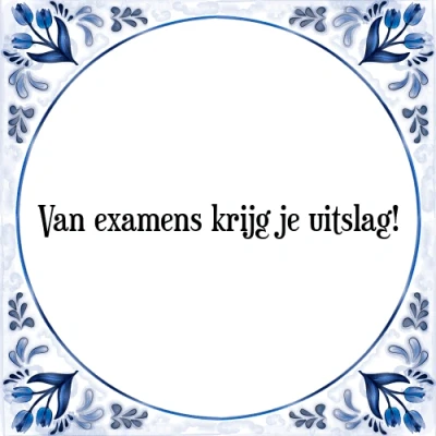 Afbeelding van Van examens krijg je uitslag! Tegeltje + Spreuk
