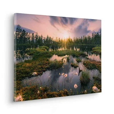 Afbeelding van Komar artprint op linnen Keilrahmenbild Gloomy Swamps Größe 60 x 40 cm 60x40 (breedte hoogte), spieraam (1 stuk)