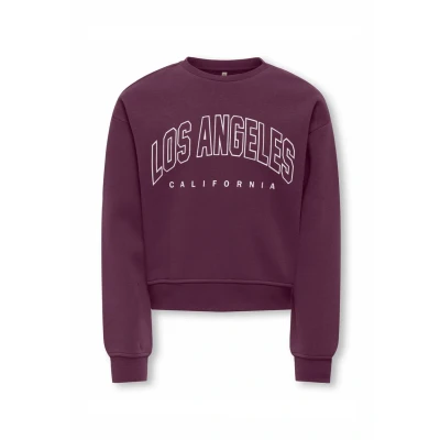 Afbeelding van ONLY KOGSWEAT LIFE LS CREW OVZ STAT SWT NOOS Meisjes Trui Mauve Wine Los Angeles California