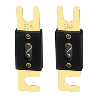 Afbeelding van Heschen ANL Fuse 30 Amp voor auto voertuigen audiosysteem blad goud toon &amp; zwart 2 Pack
