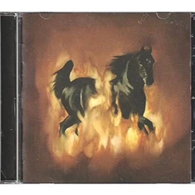 Afbeelding van Besnard Lakes Are The Dark Horse (CD)