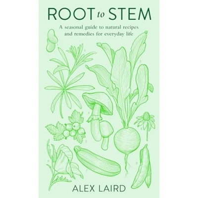 Afbeelding van Root to Stem
