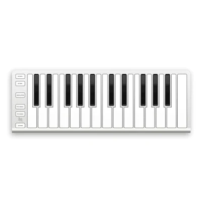 Afbeelding van ESI Xkey 25 Ultraplat USB MIDI toetsenbord met toetsen