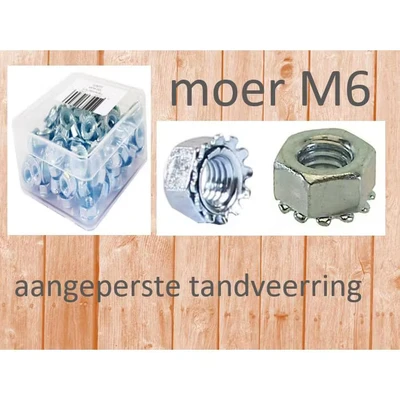 Afbeelding van Bofix Moer M6 met veerring. Per 100