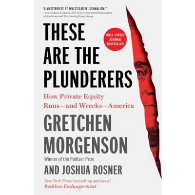 Afbeelding van These Are the Plunderers: How Private Equity Runs And Wrecks America