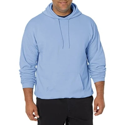 Afbeelding van Hanes Heren Trui EcoSmart Hooded Sweatshirt, Lichtblauw, M