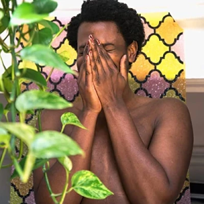 Afbeelding van Shamir Hope (LP)