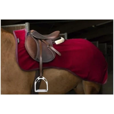 Afbeelding van EQUITHÈME Uitrijdeken Teddy Fleece Groen 125/175