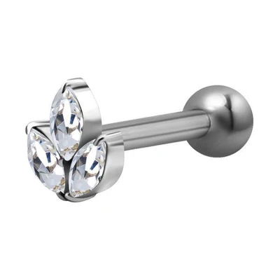 Afbeelding van Chirurgisch Staal Tragus Helix Piercing Marquise Cluster