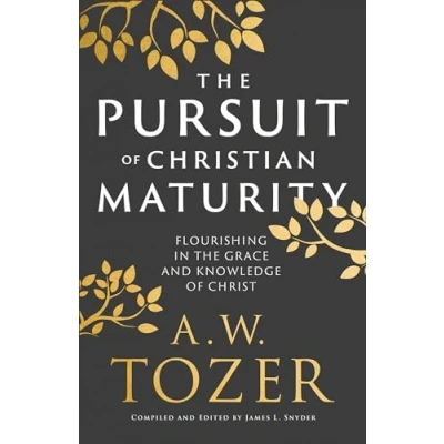 Afbeelding van the Pursuit of Christian Maturity: Flourishing in Grace and Knowledge Christ