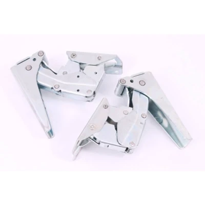 Afbeelding van Whirlpool Indesit 484000000971 scharnier C00374237 set ht K02 (dx+sx)