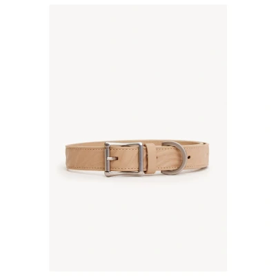Afbeelding van Dogguo Zebra Collar Hondenhalsband Beige L