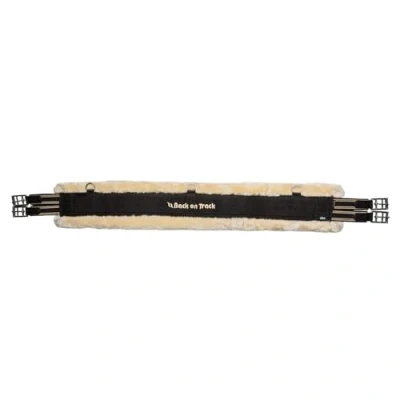 Afbeelding van Back on Track Veelzijdigheidssingel Dalby Zwart 115cm