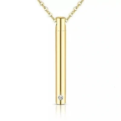 Afbeelding van Dutch Duvall Ashanger Buis goud met ketting en vulsetje Goudkleurige RVS Assieraad Asketting gemaakt van edelstaal.