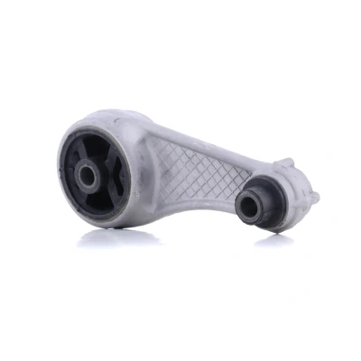 Afbeelding van Aslichaam /motorsteunlager SASIC 4001374