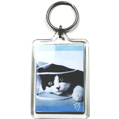 Afbeelding van PC3721@ 92033 Sleutelhanger, voor foto met 50 x 35 mm, transparant (10 stuks)