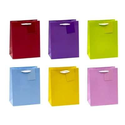 Afbeelding van TSI 86011 cadeauzakjes trendy kleuren, verpakking van 12, afmetingen: medium (HxBxD 23 x 18 10 cm)