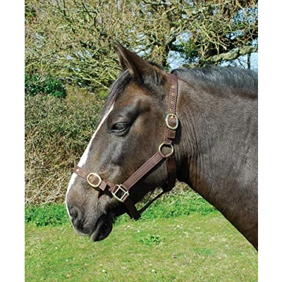 Afbeelding van Rhinegold Nylon Halster Pony Bruin