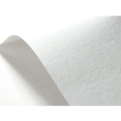 Afbeelding van Netuno 40 Elfenbeinkarton wit 246g structuurpapier gehamerd A5 148x210mm ambachtelijk voor visitekaartjes uitnodigings certificaten akten
