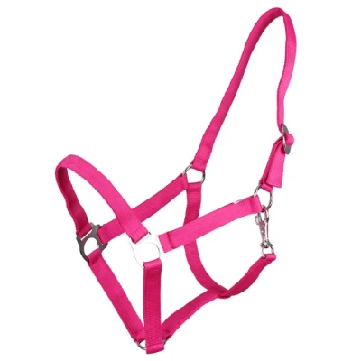 Afbeelding van QHP Halster Slide Fuchsia