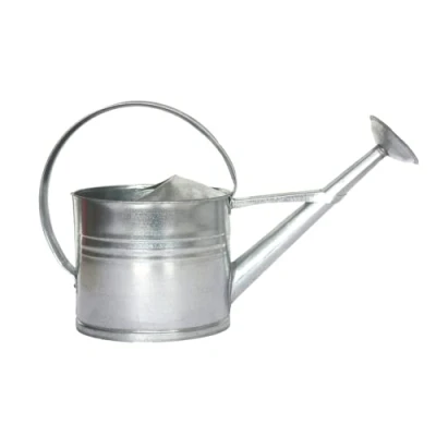 Afbeelding van Esschert Design Decoratieve Gieter 61 Cm Zink 8 Liter Zilver