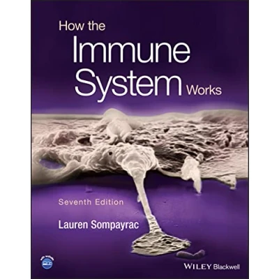 Afbeelding van How the Immune System Works