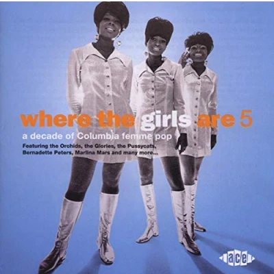 Afbeelding van Where The Girls Are V.5
