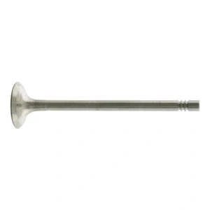 Afbeelding van Ae Uitlaatklep V94593