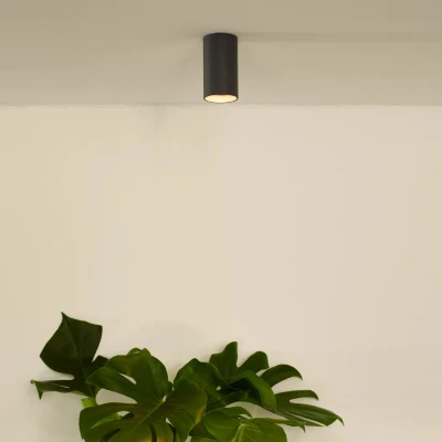 Afbeelding van Lucide DELTO Plafondspot Ø 5,5 cm LED Dim to warm GU10 1x5W Grijs