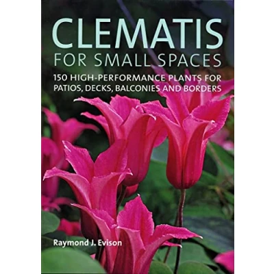 Afbeelding van Clematis for Small Spaces