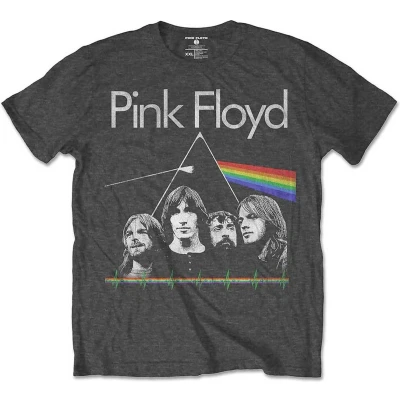 Afbeelding van Pink Floyd DSOTH Band &amp; Pulse Kinder T shirt Kids tm 10 jaar Grijs